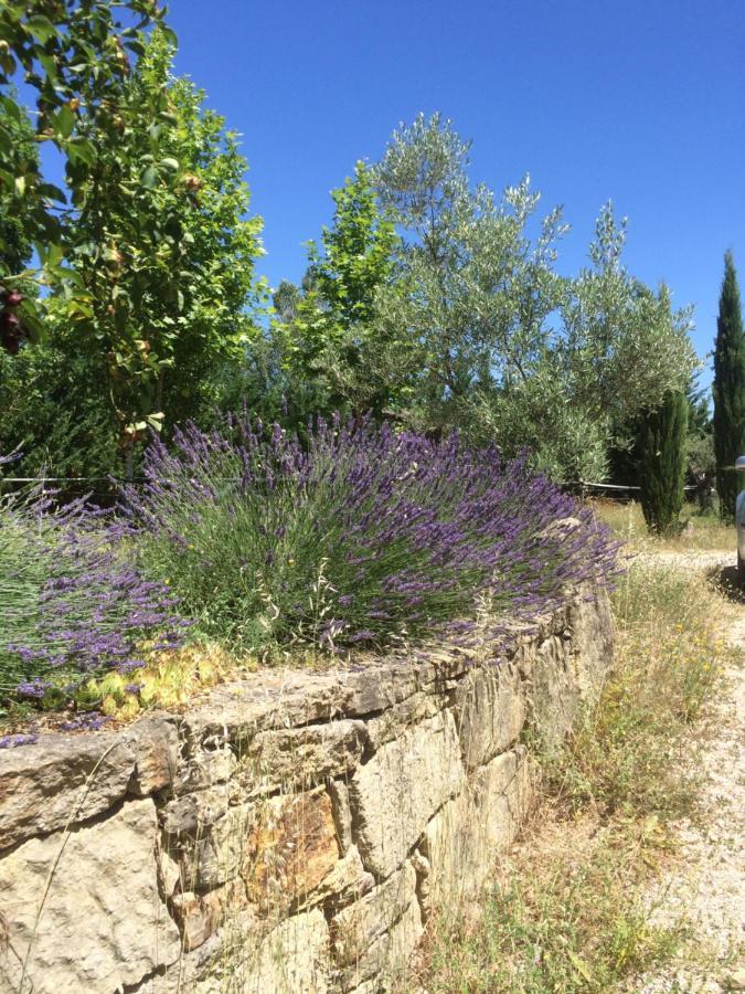 Le Relais D'Elle Bed & Breakfast Niozelles Exterior photo
