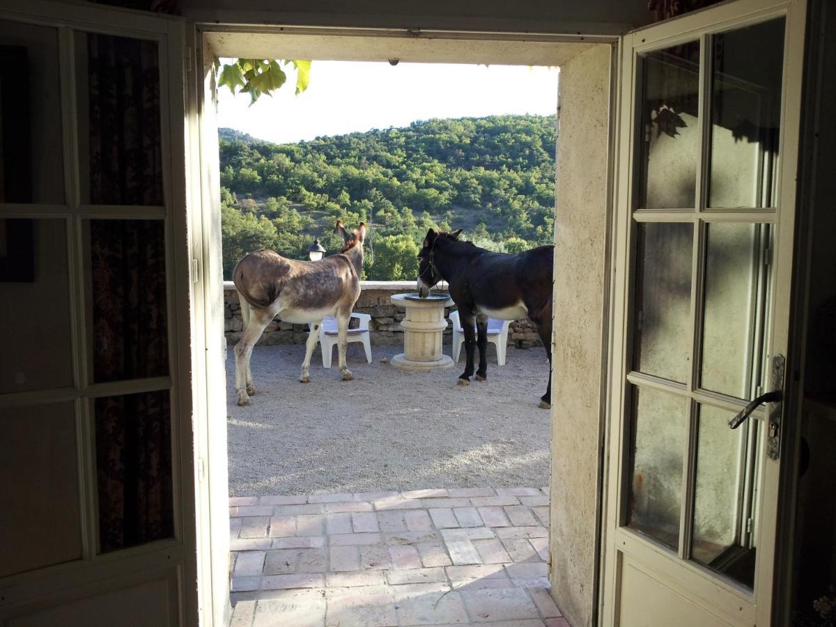 Le Relais D'Elle Bed & Breakfast Niozelles Exterior photo